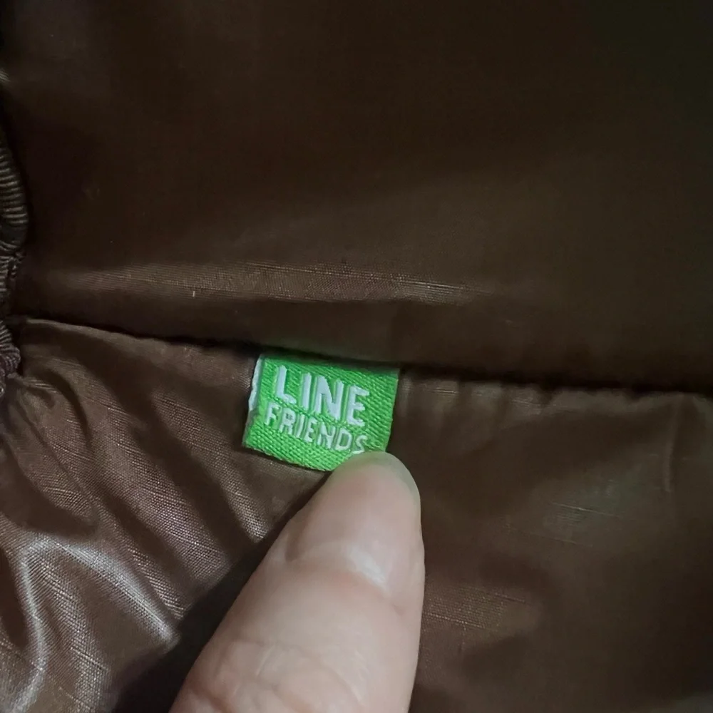 Line friends Brown Bear cosmetic Bag